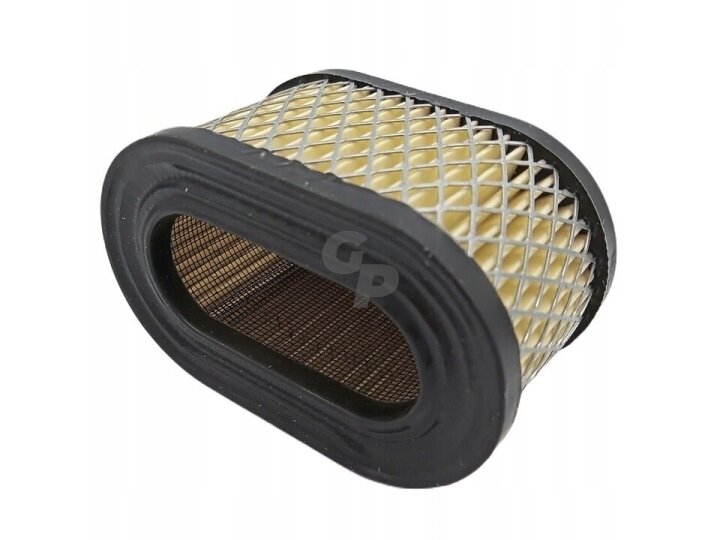 Oro filtras briggs&stratton quantum mažas 009890 1 Oro filtras briggs&stratton quantum mažas 009890 1