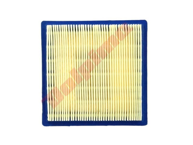 Oro filtras tinkanits BRIGGS&STRATTON QUANTUM 3,0-4AG 117,4x117,4x22,2 008733