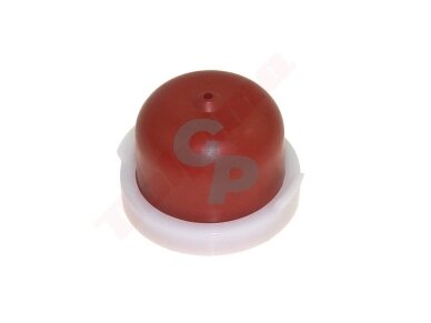 Pasiurbimo pompa tinkanti BRIGGS & STRATTON ( 594281 ) 009048 Pasiurbimo pompa tinkanti BRIGGS & STRATTON ( 594281 ) 009048