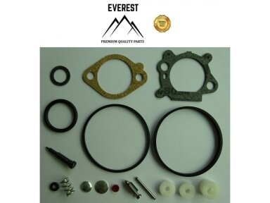 Remontinis komplektas briggs&stratton quantum 492495, 493762, 498260 009821 Remontinis komplektas briggs&stratton quantum 492495, 493762, 498260 009821