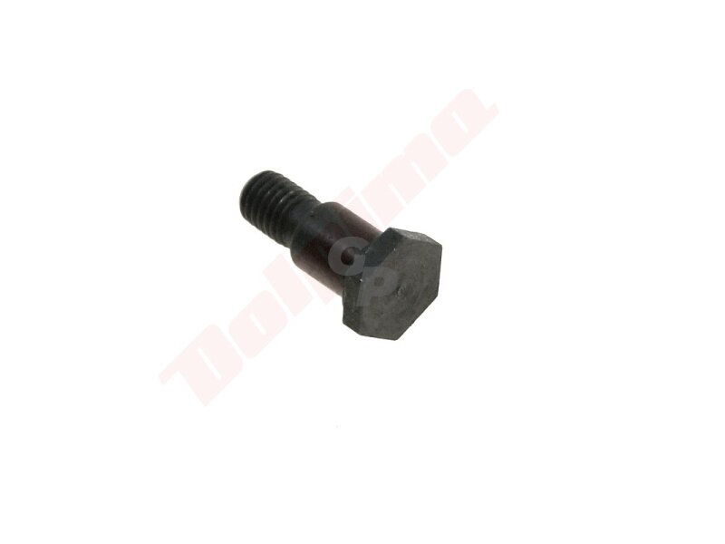 Sankabos varžtas tinkanits HONDA GX 35 ( 22253-ZM5-003 ) 8mm 011525