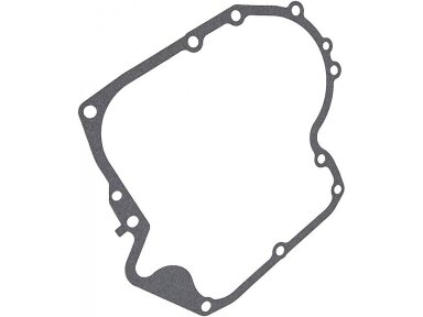 Tarpinė karterio briggs&stratton 10km-19km ohv avs 010213