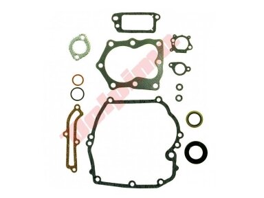 Tarpinių komplektas tinkantis BRIGGS & STRATTON 14 QUANTUM ( 493263, 496117, 497316 ) 009619 Tarpinių komplektas tinkantis BRIGGS & STRATTON 14 QUANTUM ( 493263, 496117, 497316 ) 009619