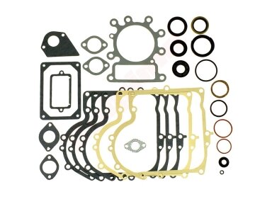 Tarpinių komplektas tinkantis BRIGGS & STRATTON 21 ( 495993 ) 009629 Tarpinių komplektas tinkantis BRIGGS & STRATTON 21 ( 495993 ) 009629