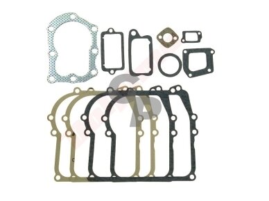 Tarpinių komplektas tinkantis BRIGGS & STRATTON 11 ( 298989 ) 009611 Tarpinių komplektas tinkantis BRIGGS & STRATTON 11 ( 298989 ) 009611