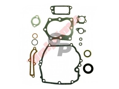 Tarpinių komplektas tinkantis BRIGGS & STRATTON 14 QUANTUM ( 493263, 496117, 497316 ) 009619 Tarpinių komplektas tinkantis BRIGGS & STRATTON 14 QUANTUM ( 493263, 496117, 497316 ) 009619