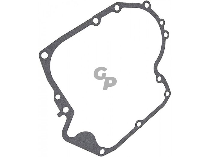 Tarpinė karterio briggs&stratton 10km-19km ohv avs 010213 Tarpinė karterio briggs&stratton 10km-19km ohv avs 010213