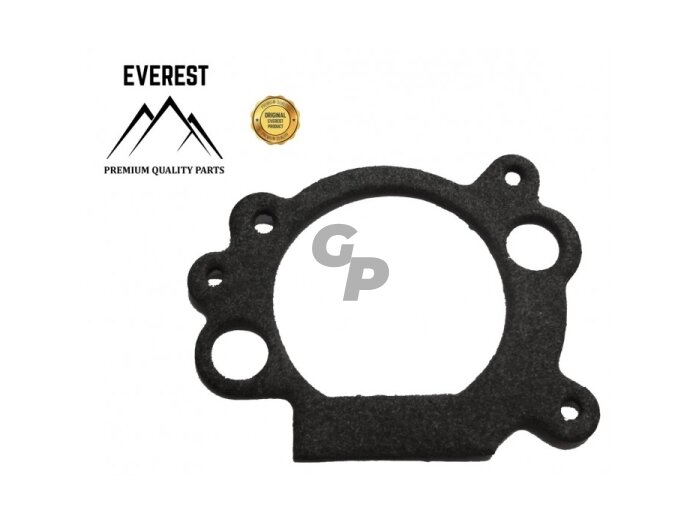 Tarpinė oro filtro briggs&stratton ohv 010228