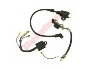 Uždegimo ritė tinkanti YAMAHA ET950 SET ( 7RA-82310-00 ) 000381
