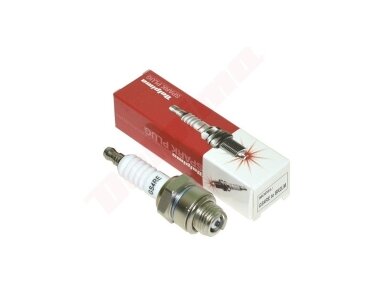 Žvakė DOLPIMA GS4RE 000509