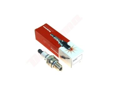 Žvakė DOLPIMA AC5RH 000496