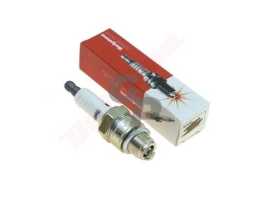 Žvakė DOLPIMA E8RC 000512 Žvakė DOLPIMA E8RC 000512