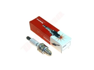 Žvakė DOLPIMA DCPR7E 000516 Žvakė DOLPIMA DCPR7E 000516