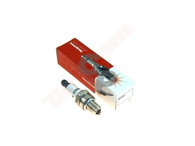 Žvakė DOLPIMA AC5RH 000496 Žvakė DOLPIMA AC5RH 000496