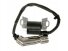 Uždegimo ritė tinkanti ZONGSHEN, MTD Thorx P84/XP380A 11,5AG 012713