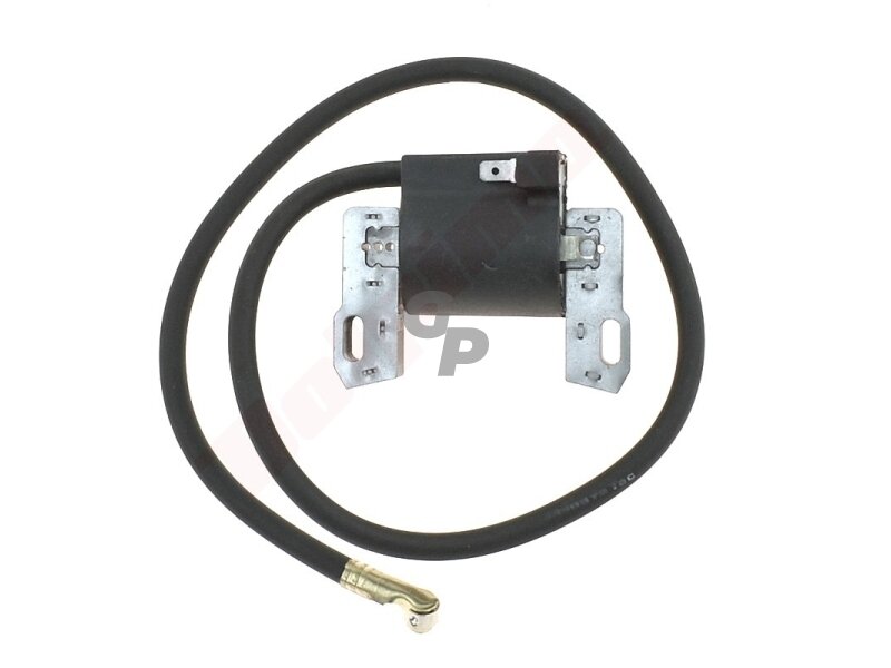Uždegimo ritė tinkanti BRIGGS & STRATTON (393993 , 395326 , 395492 , 398265 , 398811) 008580
