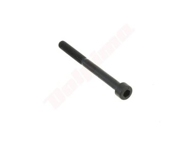 Varžtas M 5x 55 IMBUS 4 kiniškam trimeriui 011194