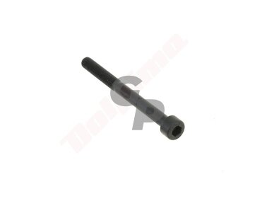 Varžtas M 5x 55 IMBUS 4 kiniškam trimeriui 011194 Varžtas M 5x 55 IMBUS 4 kiniškam trimeriui 011194