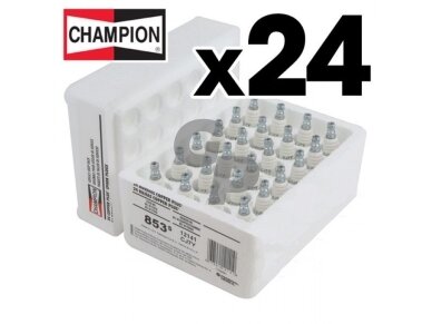 Žvakės CHAMPION CJ7Y tinkanti pjūklams, trimeriams 004694